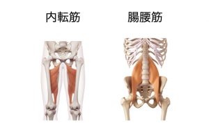 筋肉2