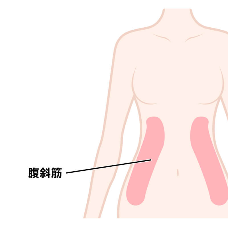 腹斜筋を効果的に鍛える筋トレメニュー9選 自重 ダンベルメニュー掲載 Qool