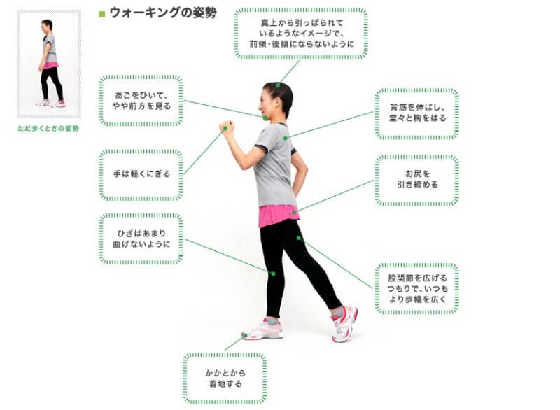 ウォーキングは散歩とは違う。正しいフォームを解説