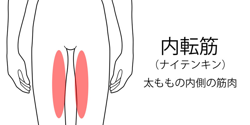 ワイドスクワットのやり方｜初心者女性向けのコツも紹介 ｜QOOL