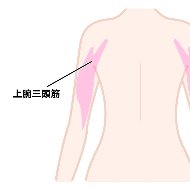 女性が腹筋ローラーを効果的に使う方法 引き締め くびれ作りにぴったり Qool