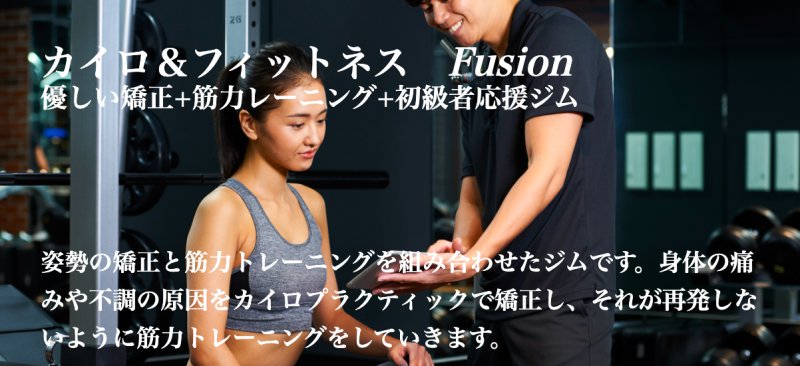 Fusion（フュージョン）