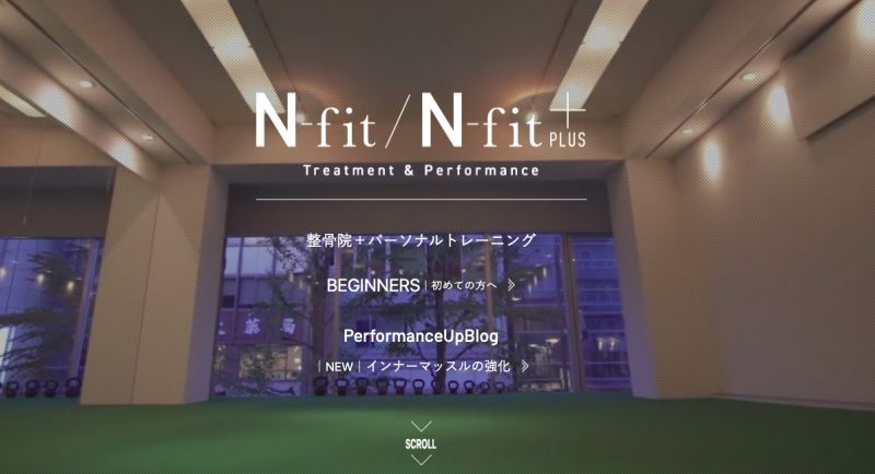 N-fit Plus（エヌフィットプラス）