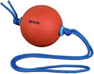 NISHI(ニシ・スポーツ) スウィングメディシンボール